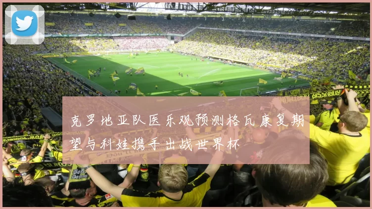 克罗地亚队医乐观预测格瓦康复期望与科娃携手出战世界杯