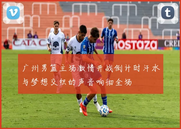 广州男篮主场激情开战倒计时汗水与梦想交织的声音响彻全场